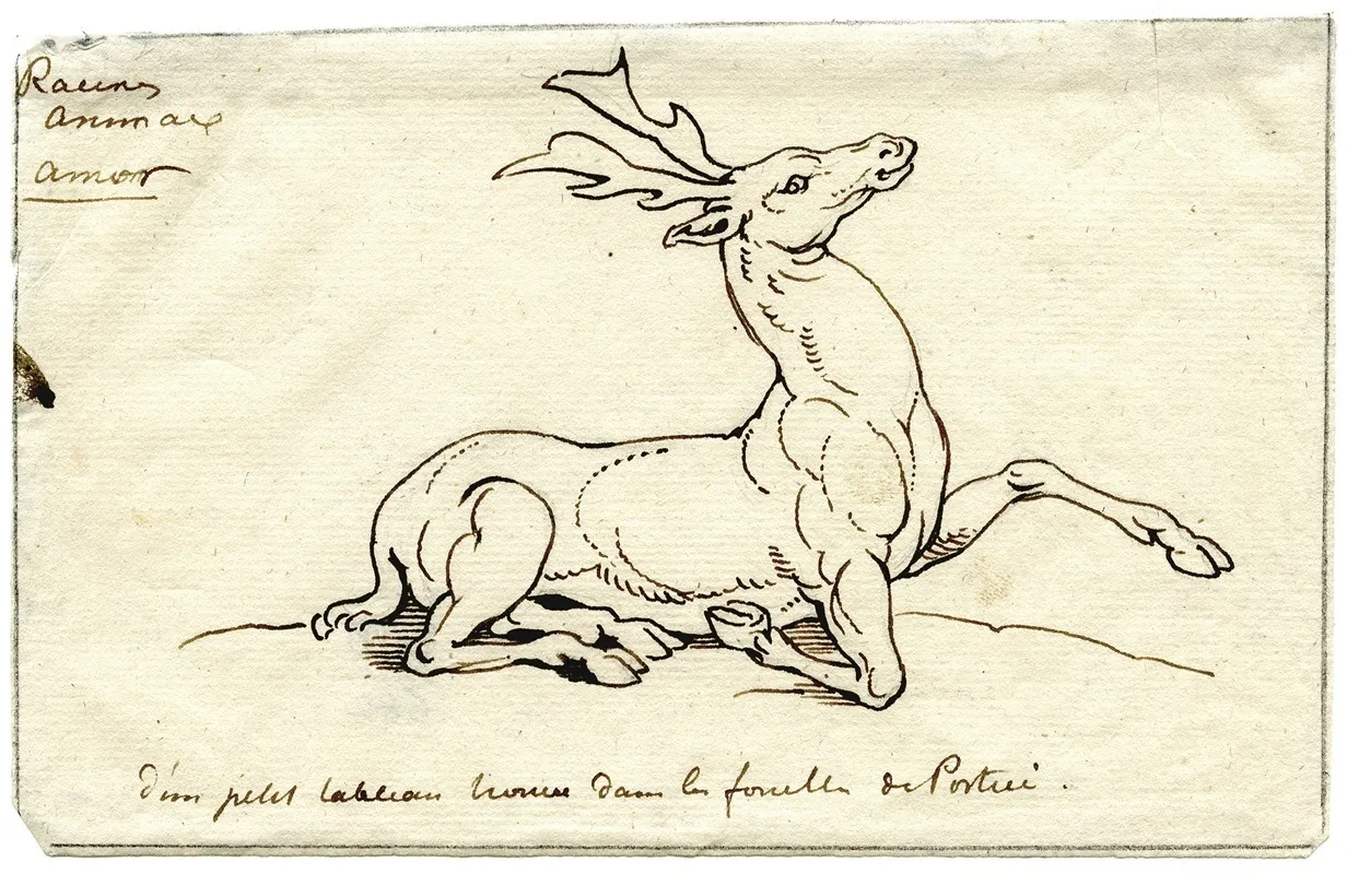 Lying Deer