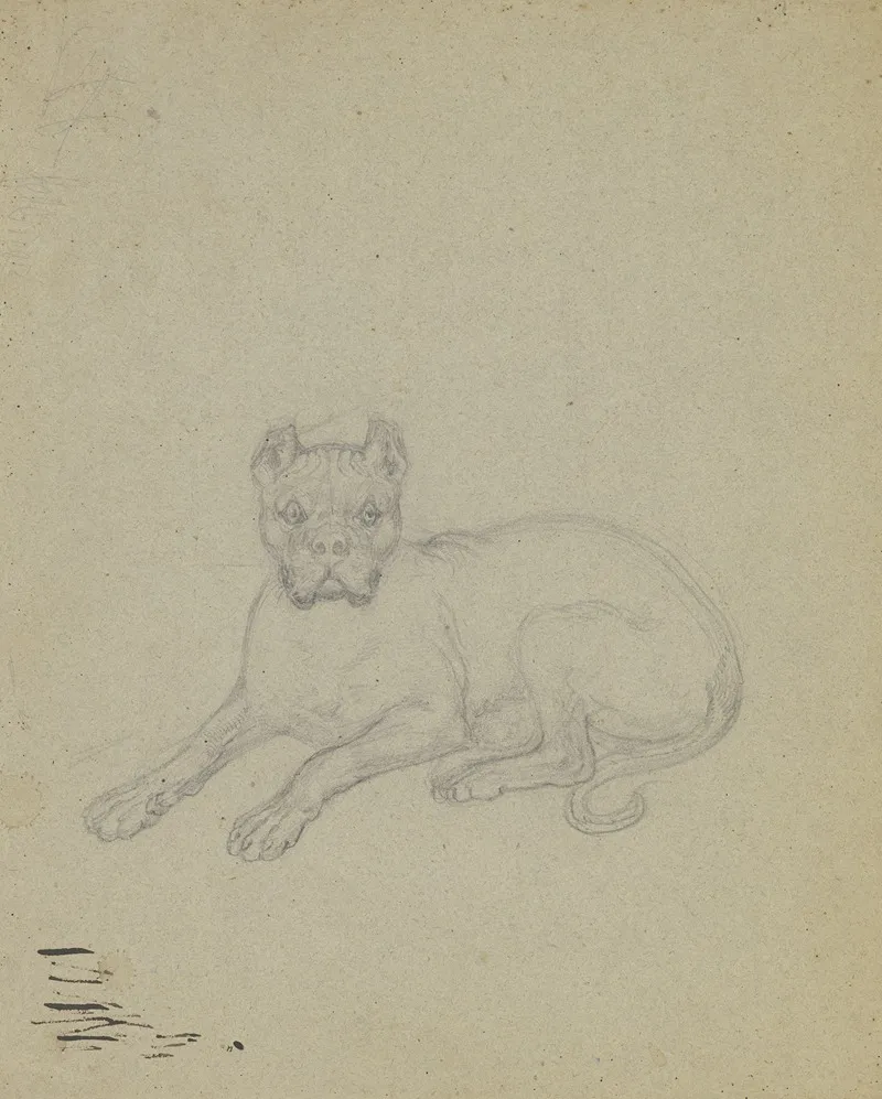 Lying Dog 6