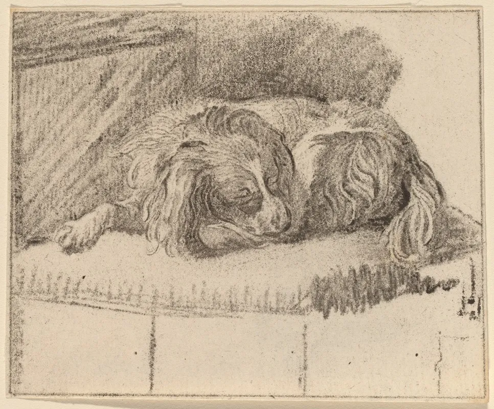 Lying Dog by Cornelis Ploos van Amstel - Canvas Print