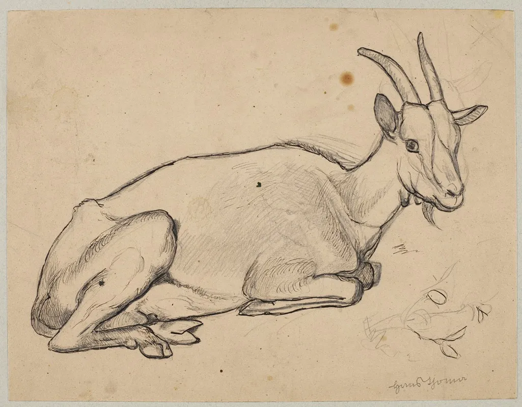 Lying Goat 2