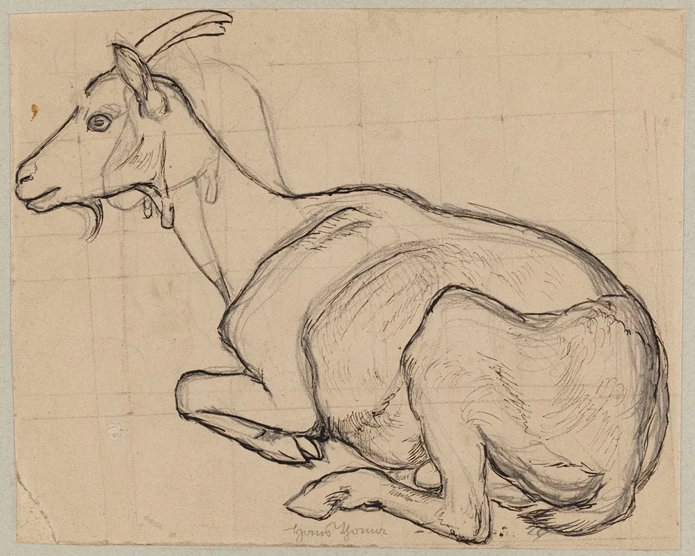 Lying Goat