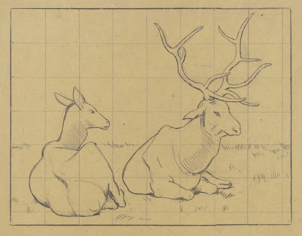 Lying Stags