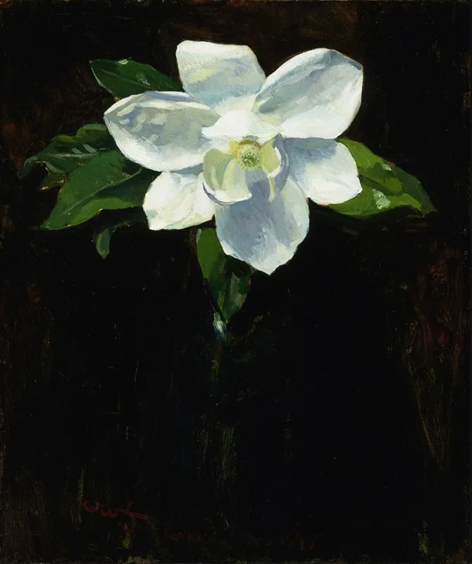 Magnolia 2