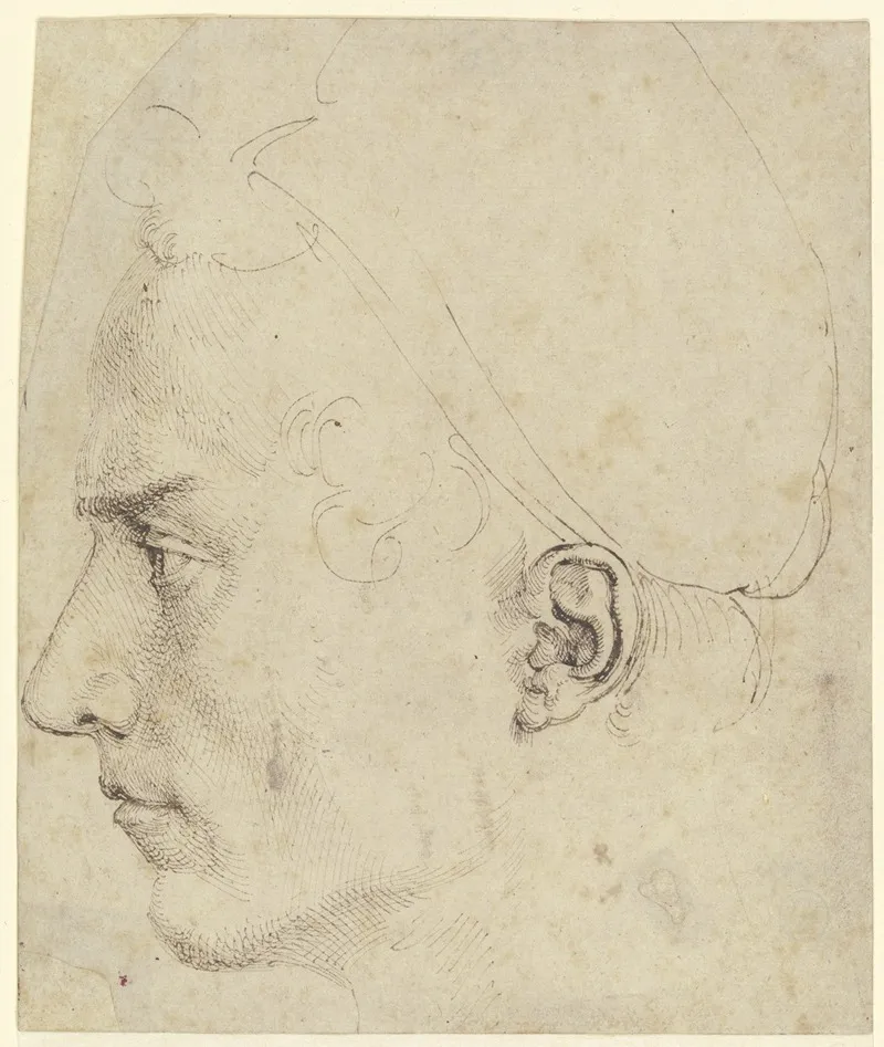 Male Head In Profile 2