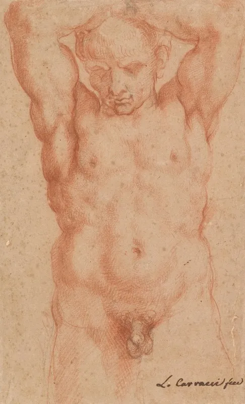 Male Nude 12