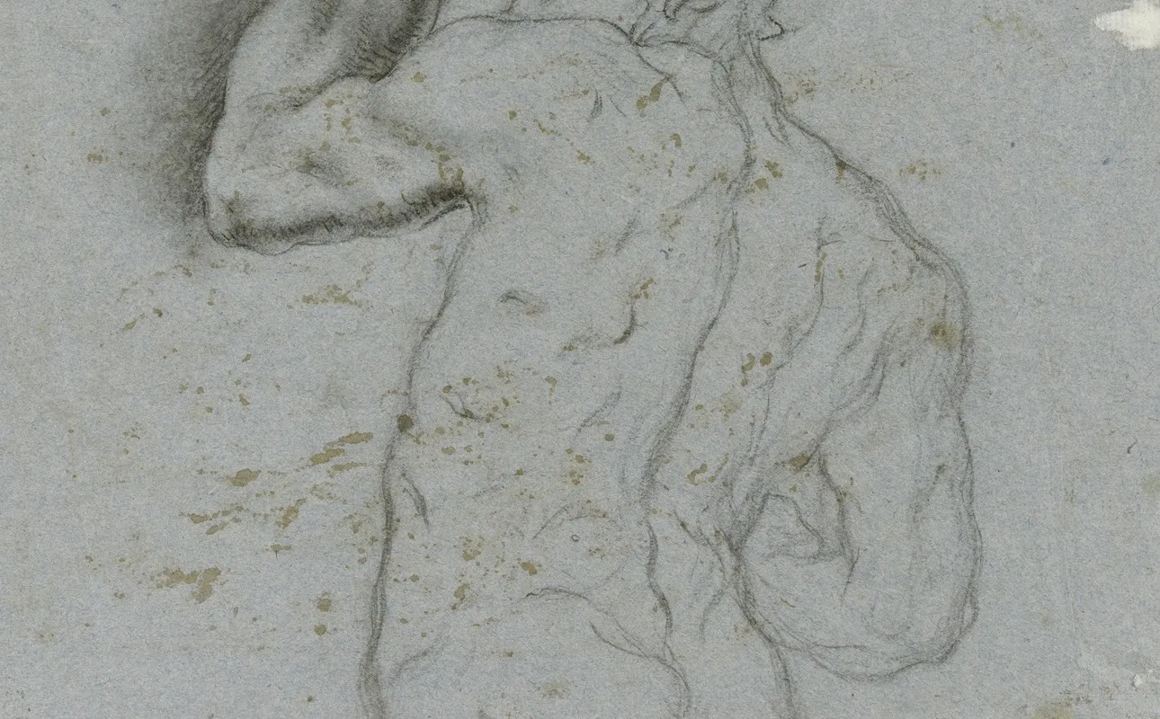 Male Nude From Behind