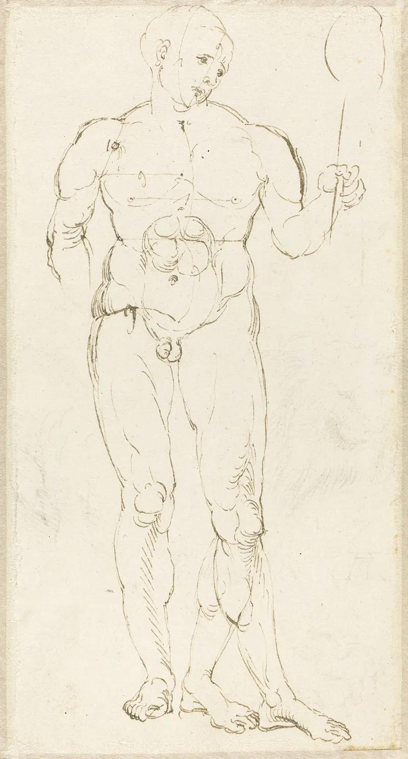 Male Nude Holding A Mirror Recto by Albrecht Dürer - Canvas Print