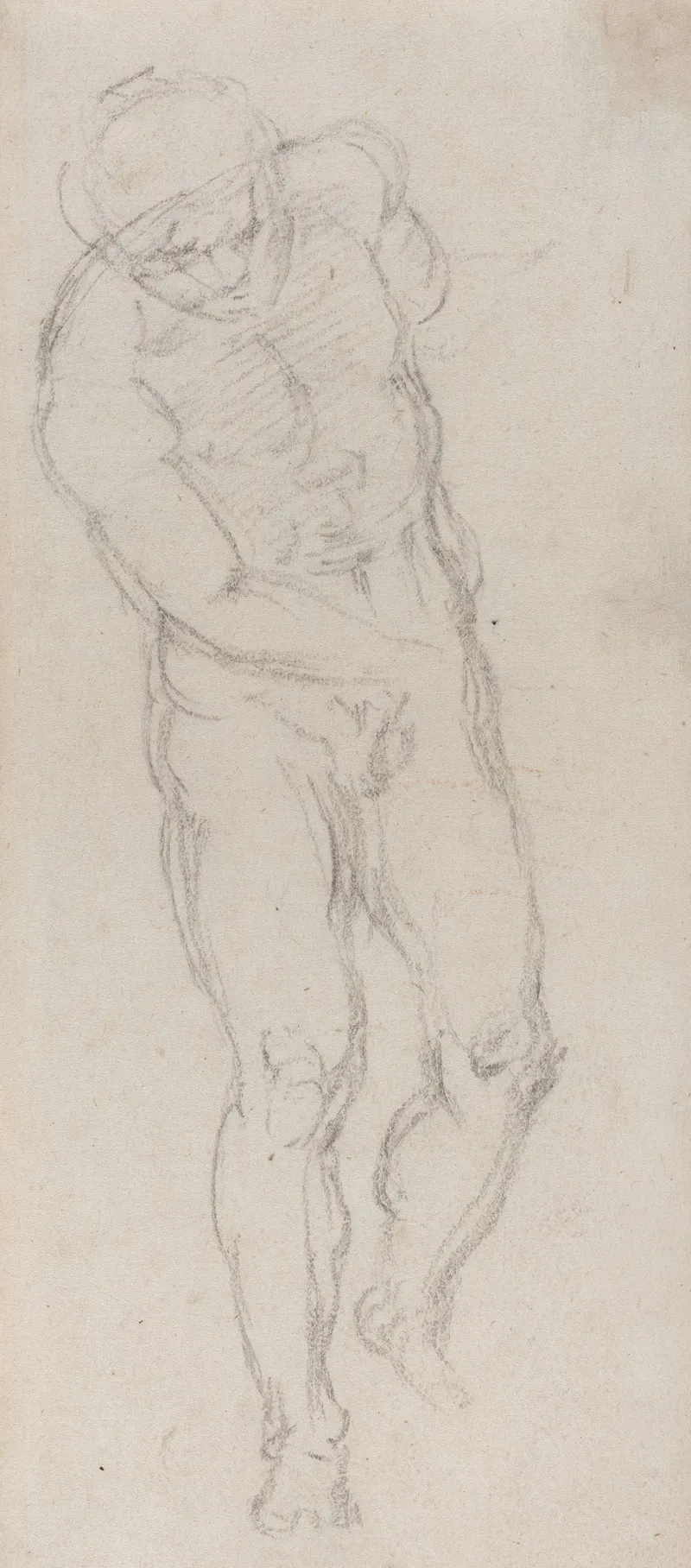 Male Nude Recto