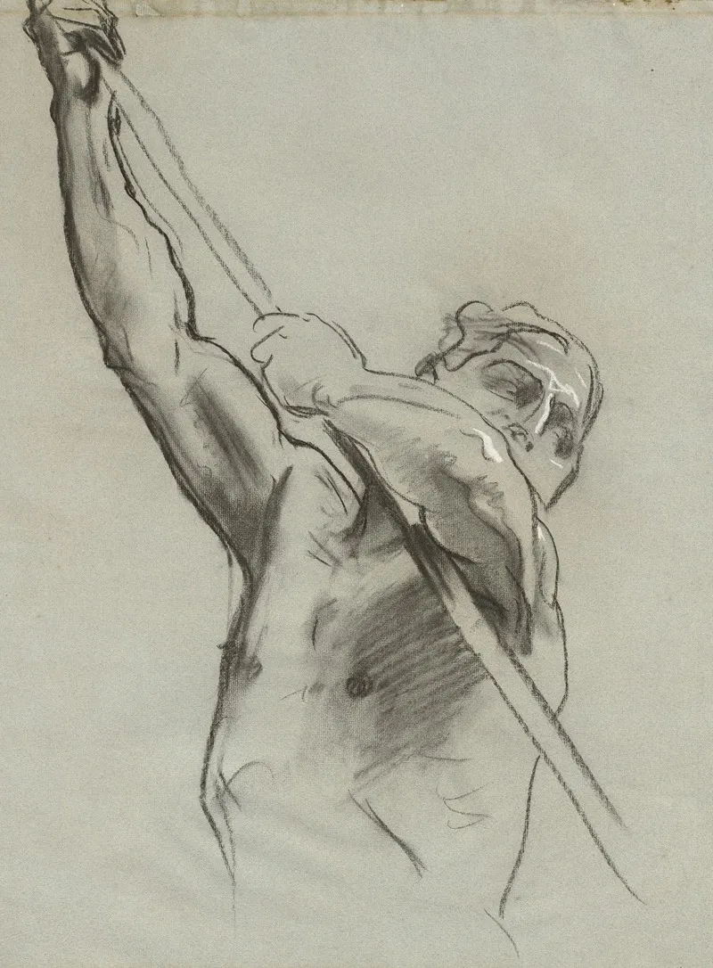 Male Torso With Pole