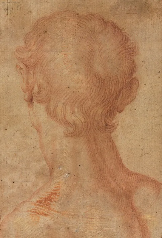 Mans Head From The Back by Agnolo Bronzino - Canvas Print