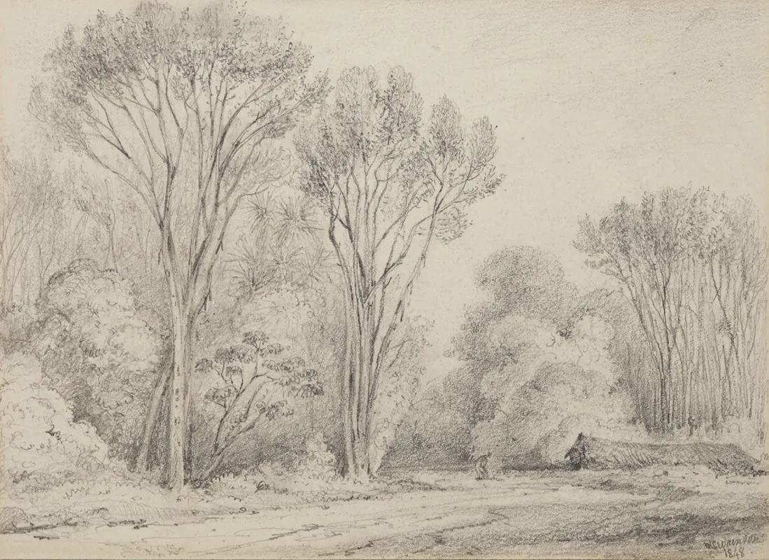 Manuka Grove On Taines Section Upper Hutt
