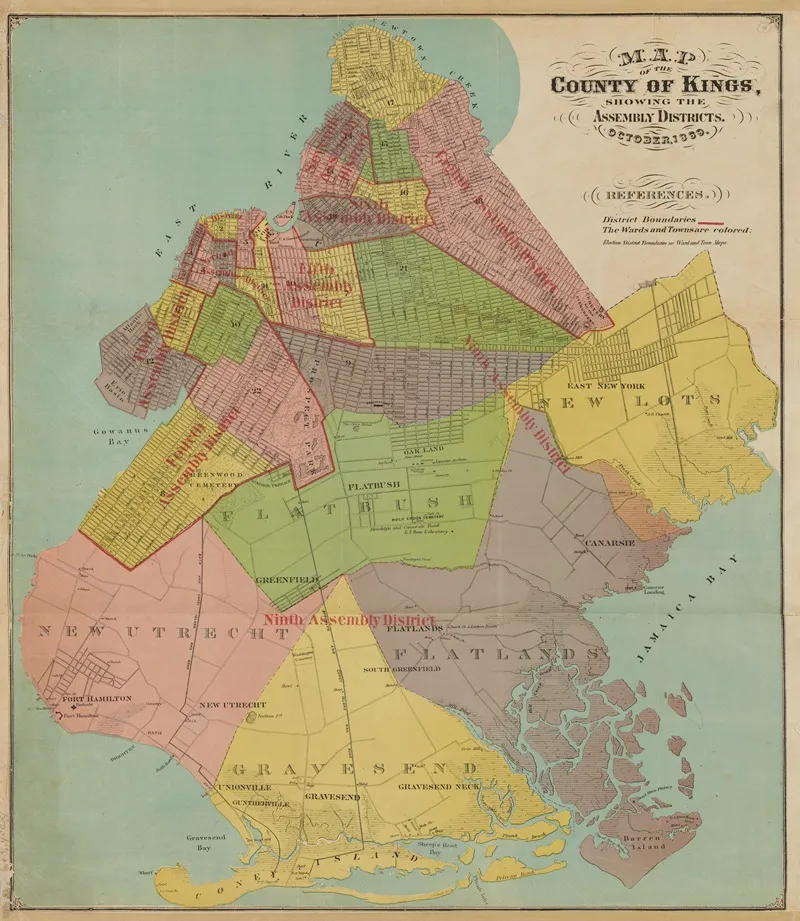 Map Of The County Of Kings Showing The Assembly Districts October 1869