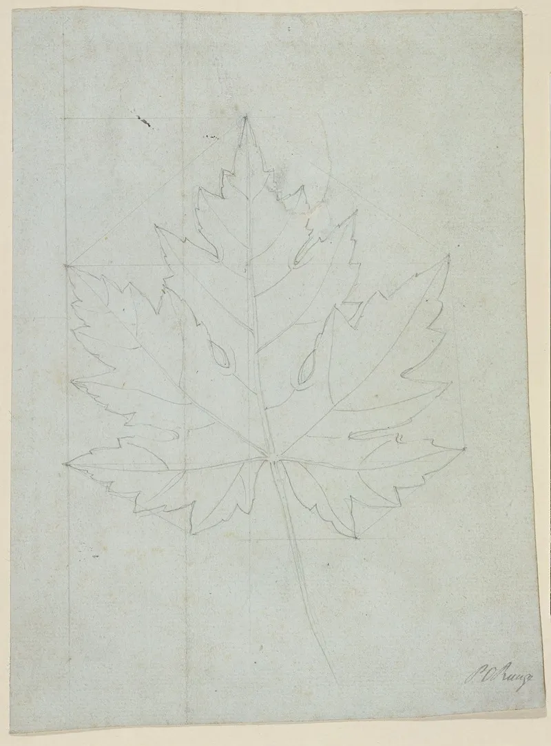 Maple Leaf