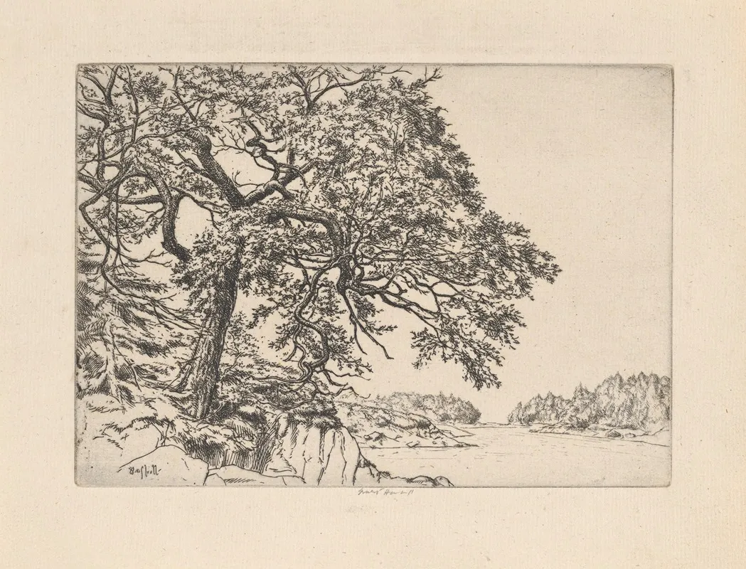 Marins Oak