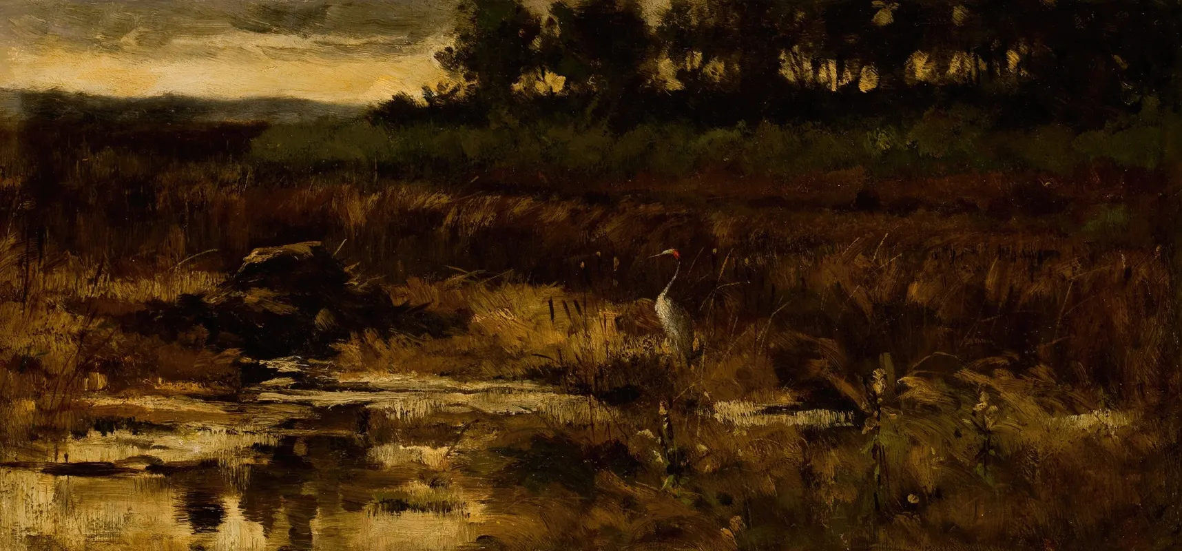 Marsh Landscape With Egret