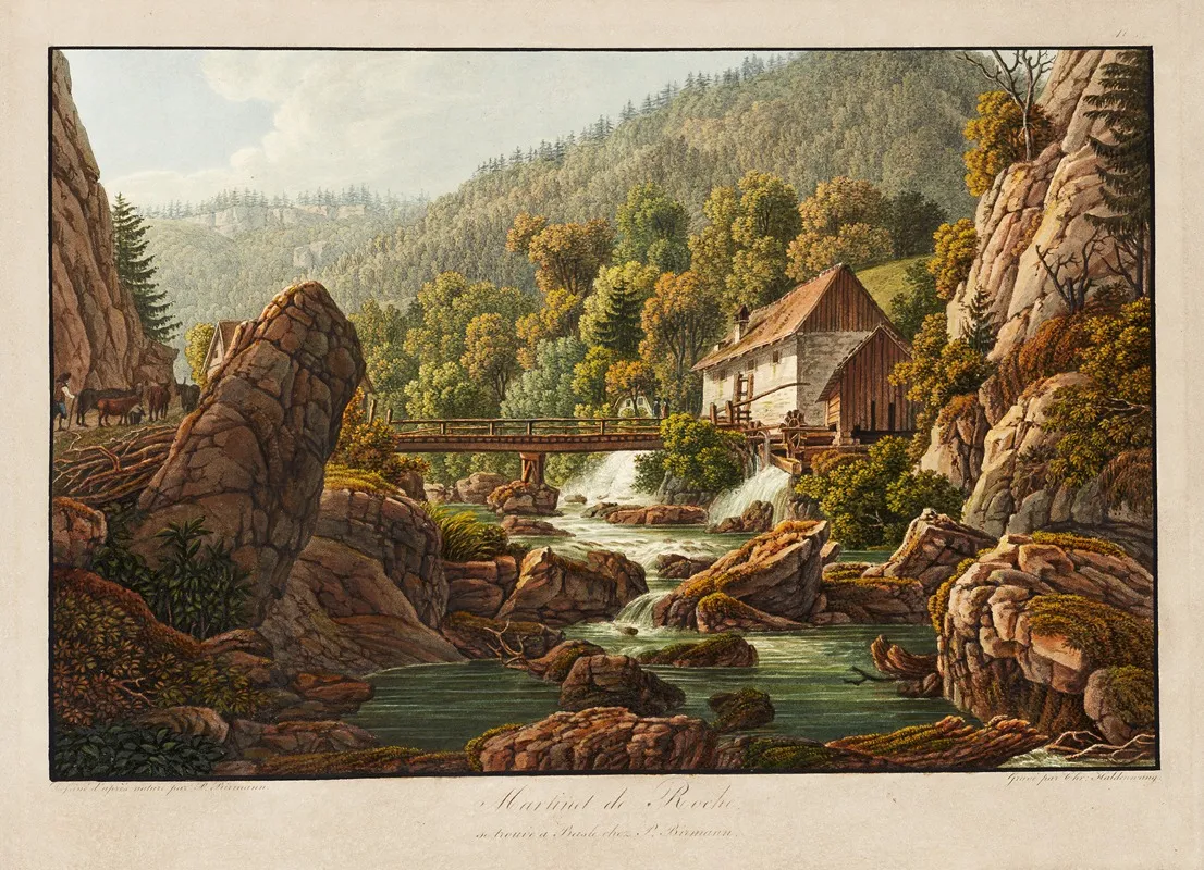 Martinet De Roche by Peter Birmann - Canvas Print