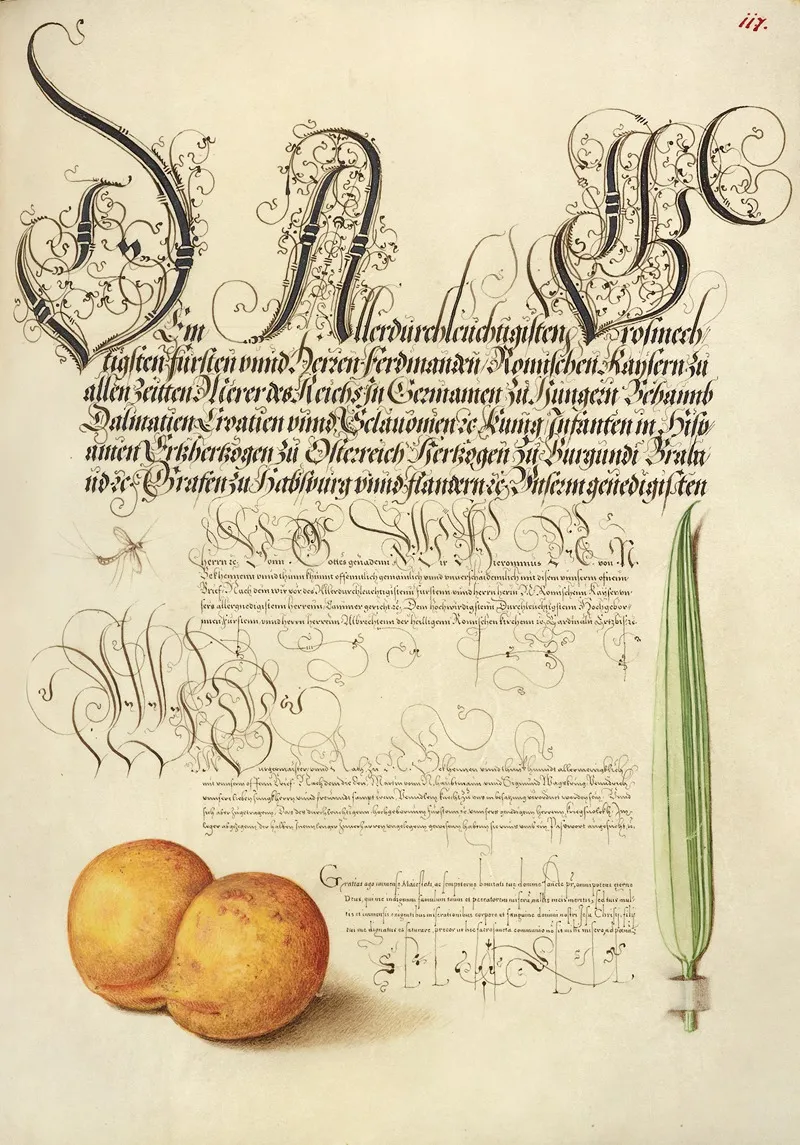 Mayfly Apricot And Reed Grass by Joris Hoefnagel - Canvas Print