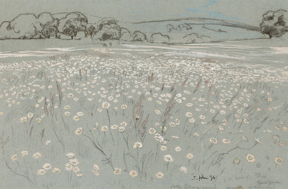 Meadow With Daisys