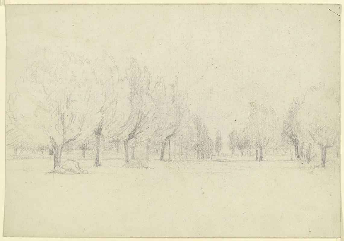 Meadow With Trees