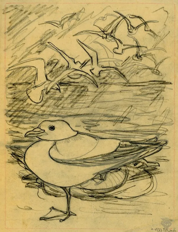 Meeuwen by Theo van Hoytema - Canvas Print