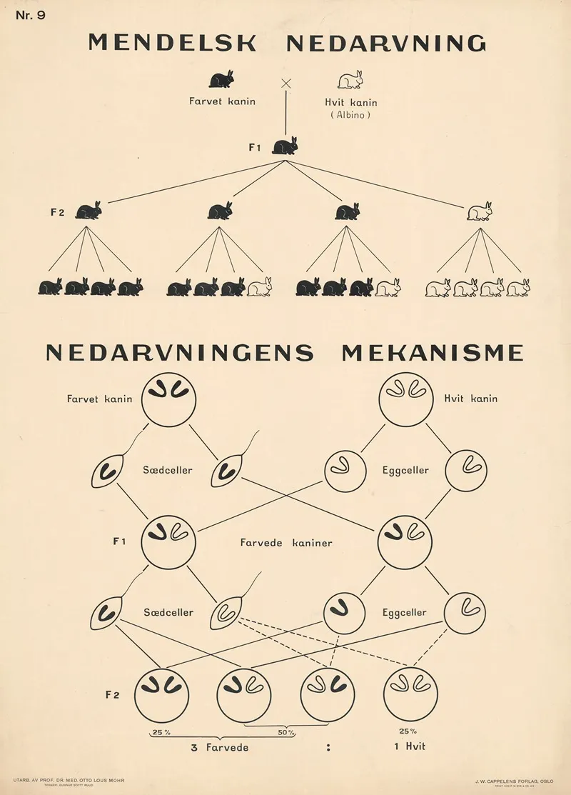 Mendels Laws Of Inheritance by Gunnar Scott Ruud - Canvas Print