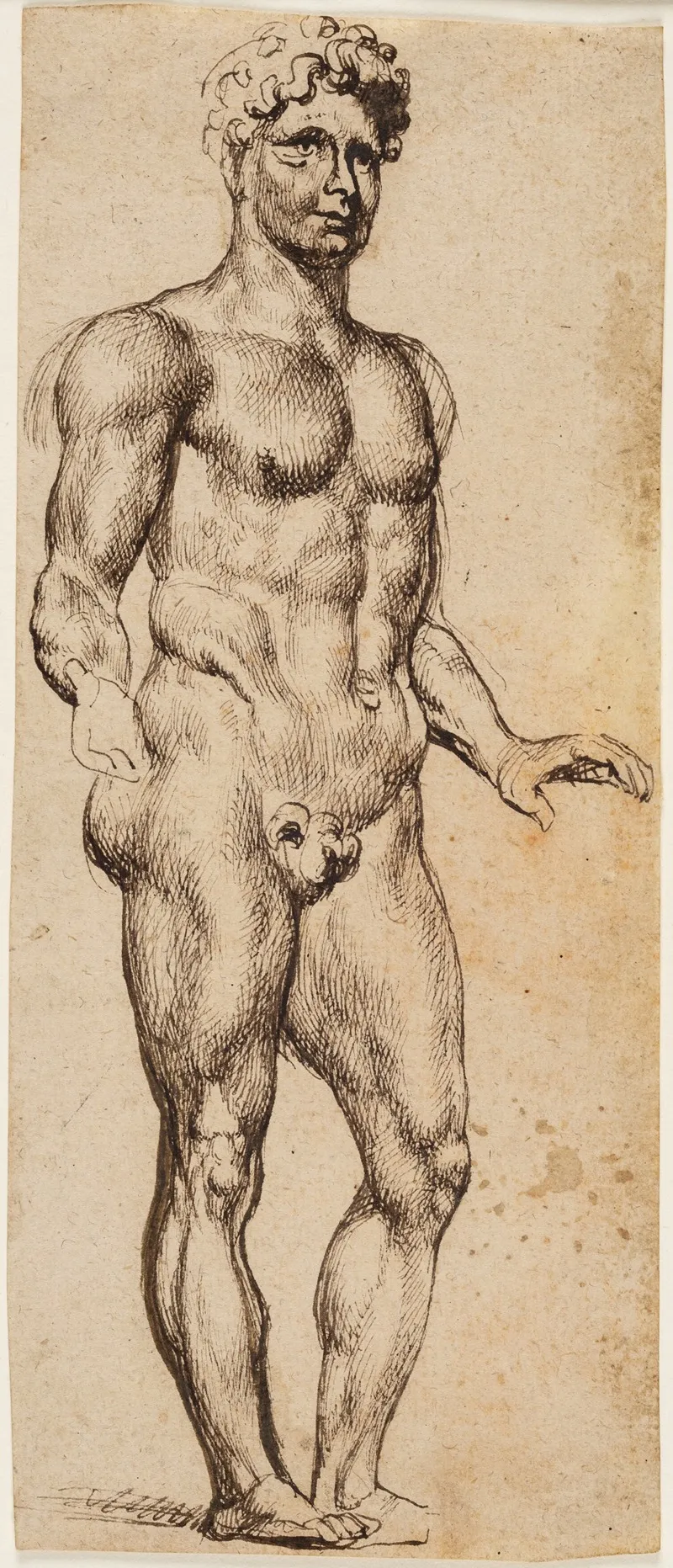 Mercury 6 by Anthony van Dyck - Canvas Print