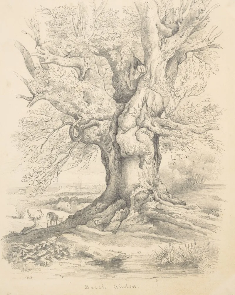 Merry Wives Of Windsor Hernes Oak