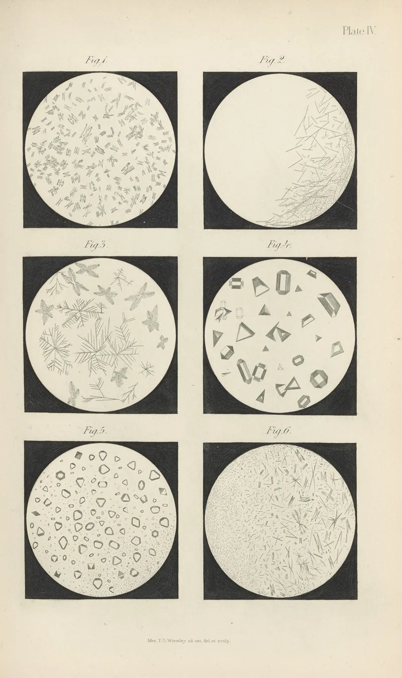 Micro Chemistry Of Poisons Pl 04 by Theodore George Wormley - Canvas Print