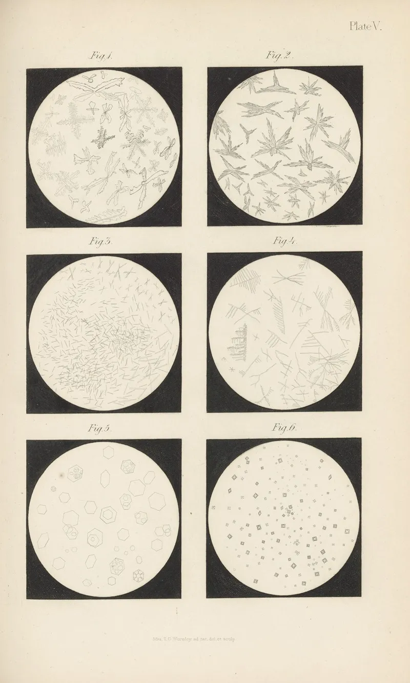 Micro Chemistry Of Poisons Pl 05 by Theodore George Wormley - Canvas Print