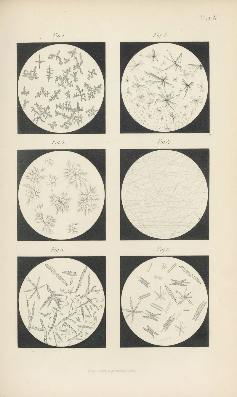 Micro Chemistry Of Poisons Pl 06 by Theodore George Wormley - Canvas Print