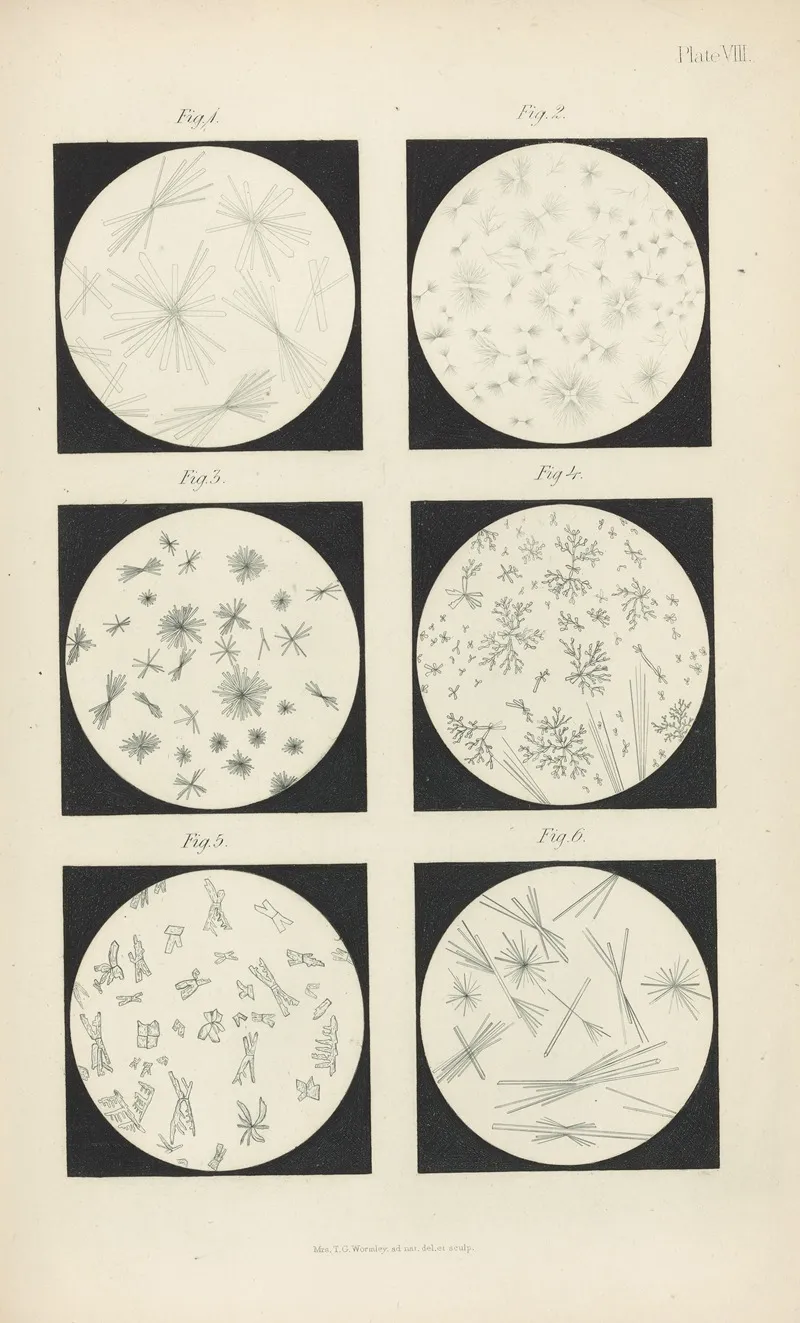 Micro Chemistry Of Poisons Pl 08 by Theodore George Wormley - Canvas Print