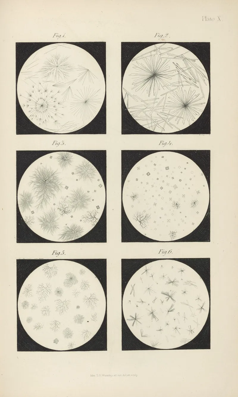 Micro Chemistry Of Poisons Pl 10 by Theodore George Wormley - Canvas Print