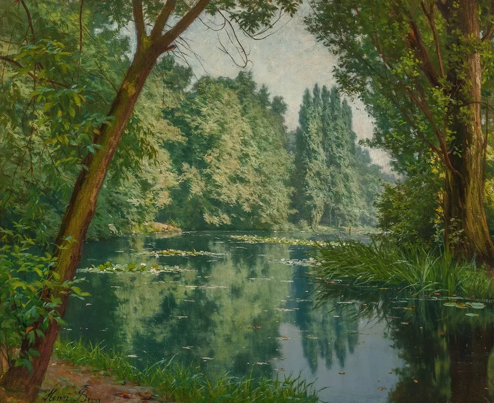 Midsummer Water Lilies