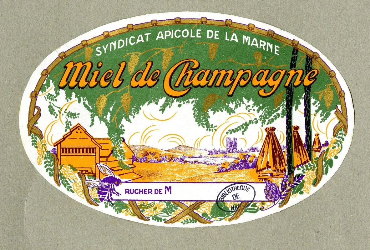 Miel De Champagne