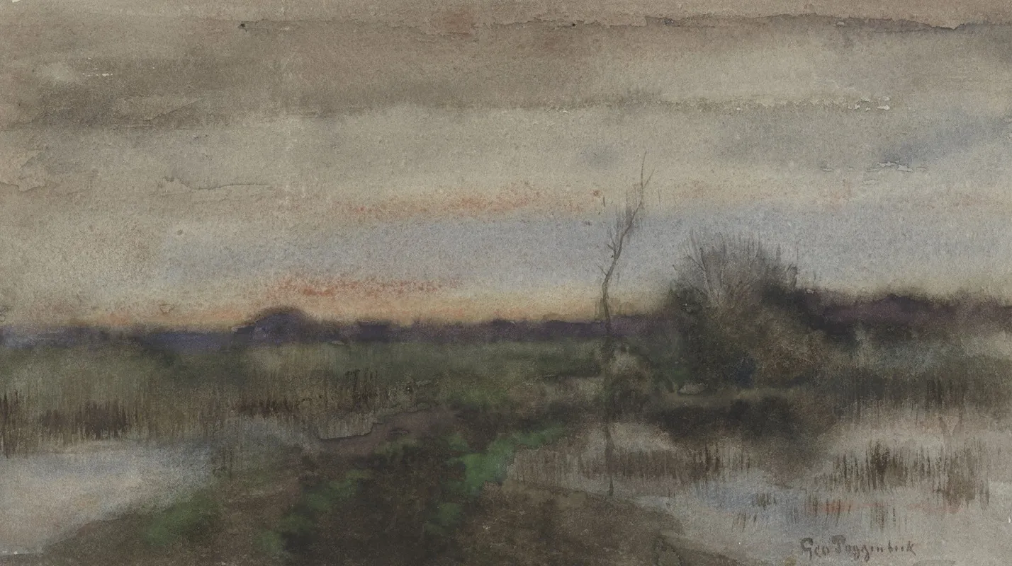 Moeraslandschap Met Zonsondergang by Geo Poggenbeek - Canvas Print