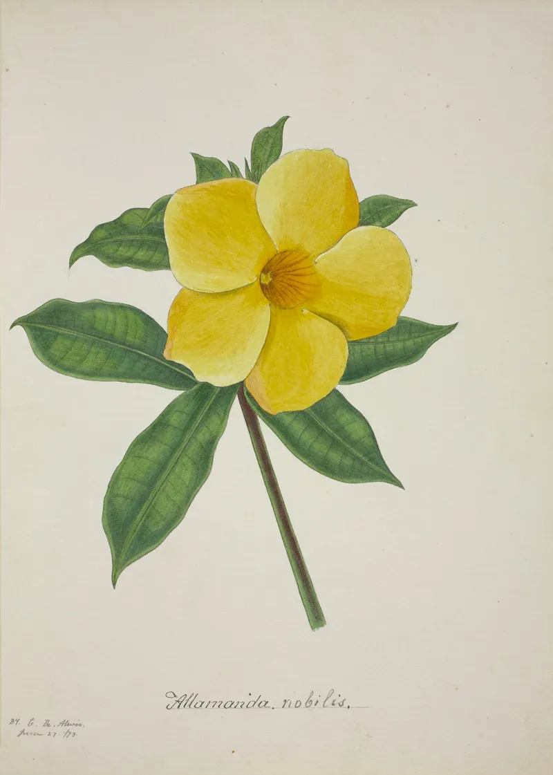 Mon Jardin A Ceylan Pl 015