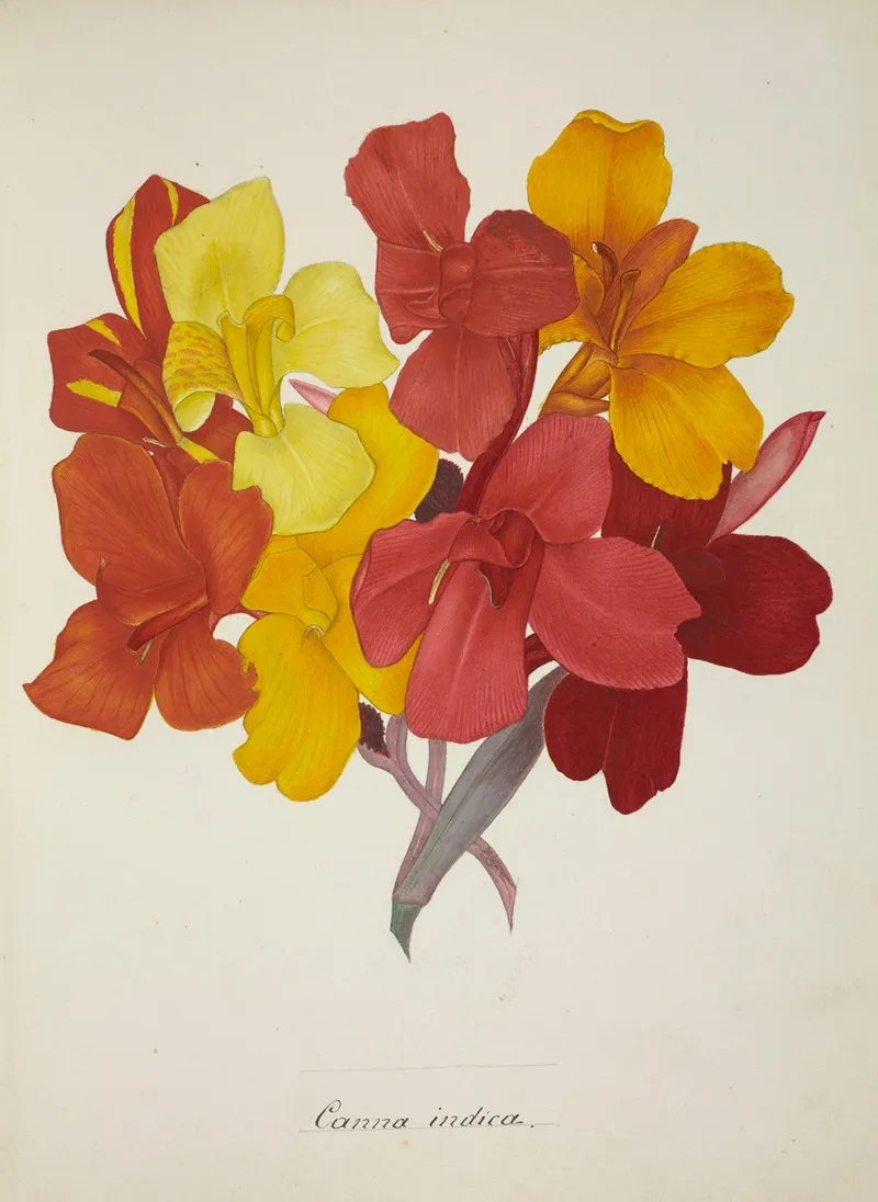 Mon Jardin A Ceylan Pl 053