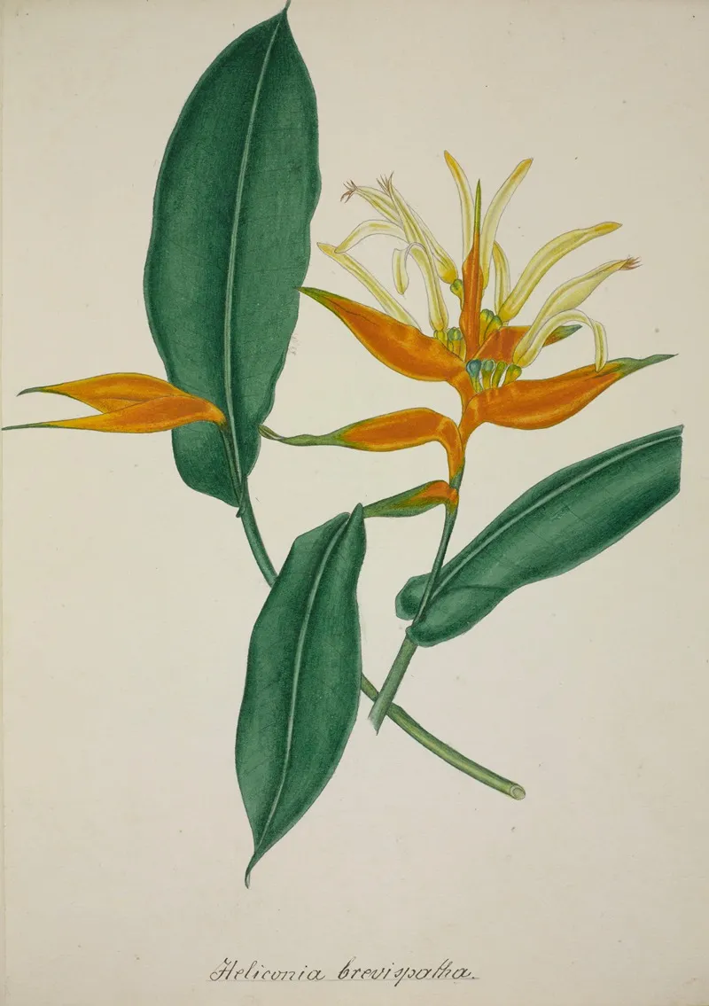 Mon Jardin A Ceylan Pl 068