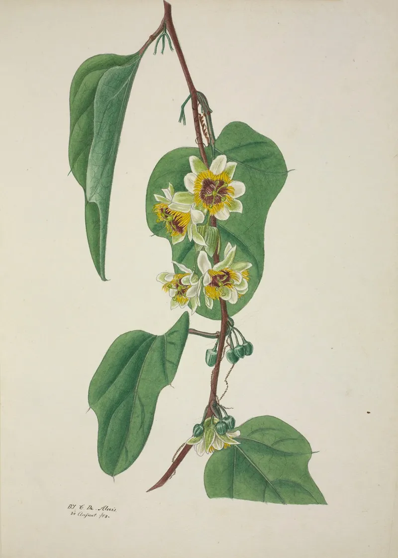 Mon Jardin A Ceylan Pl 100