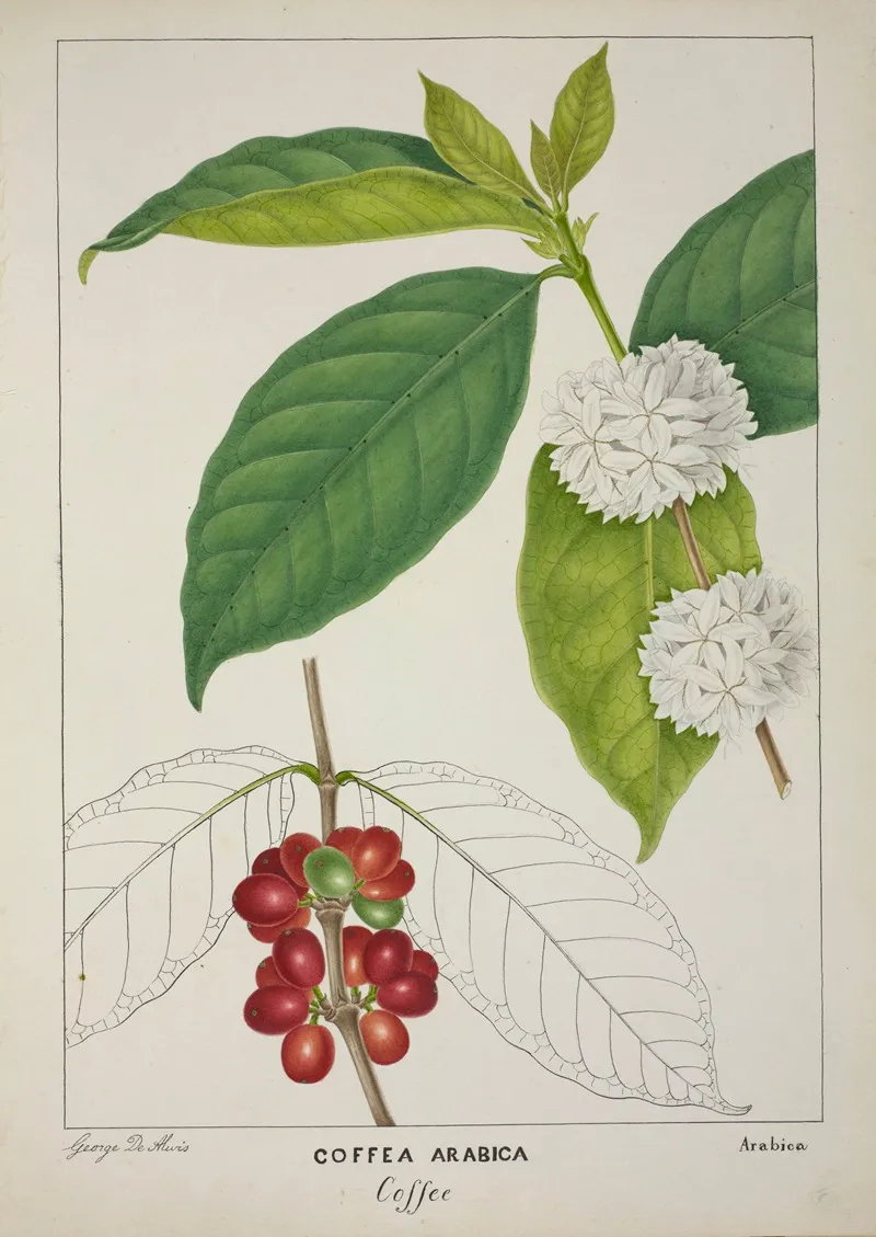 Mon Jardin A Ceylan Pl 122