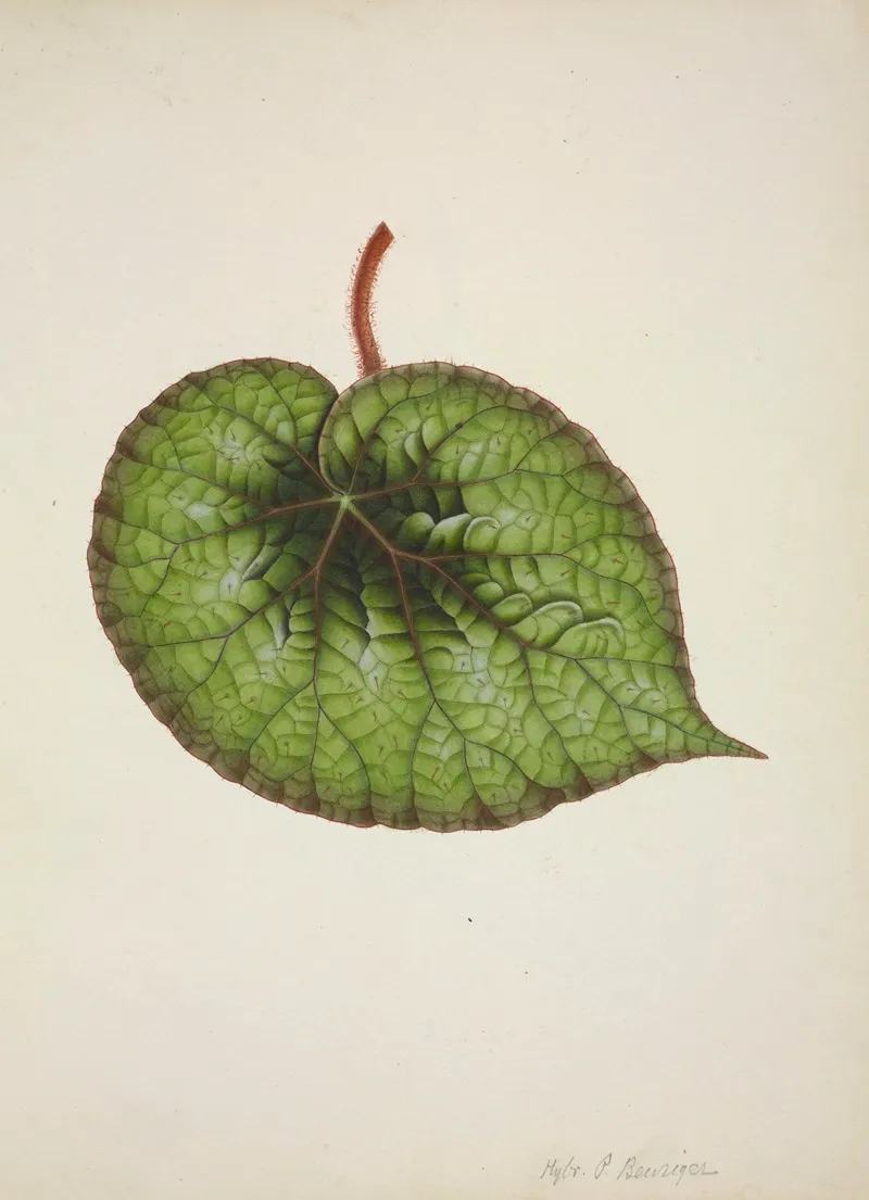 Mon Jardin A Ceylan Pl 175