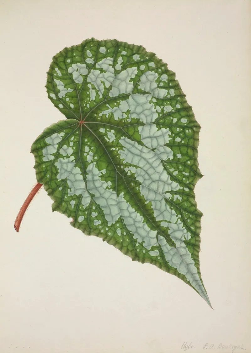 Mon Jardin A Ceylan Pl 201