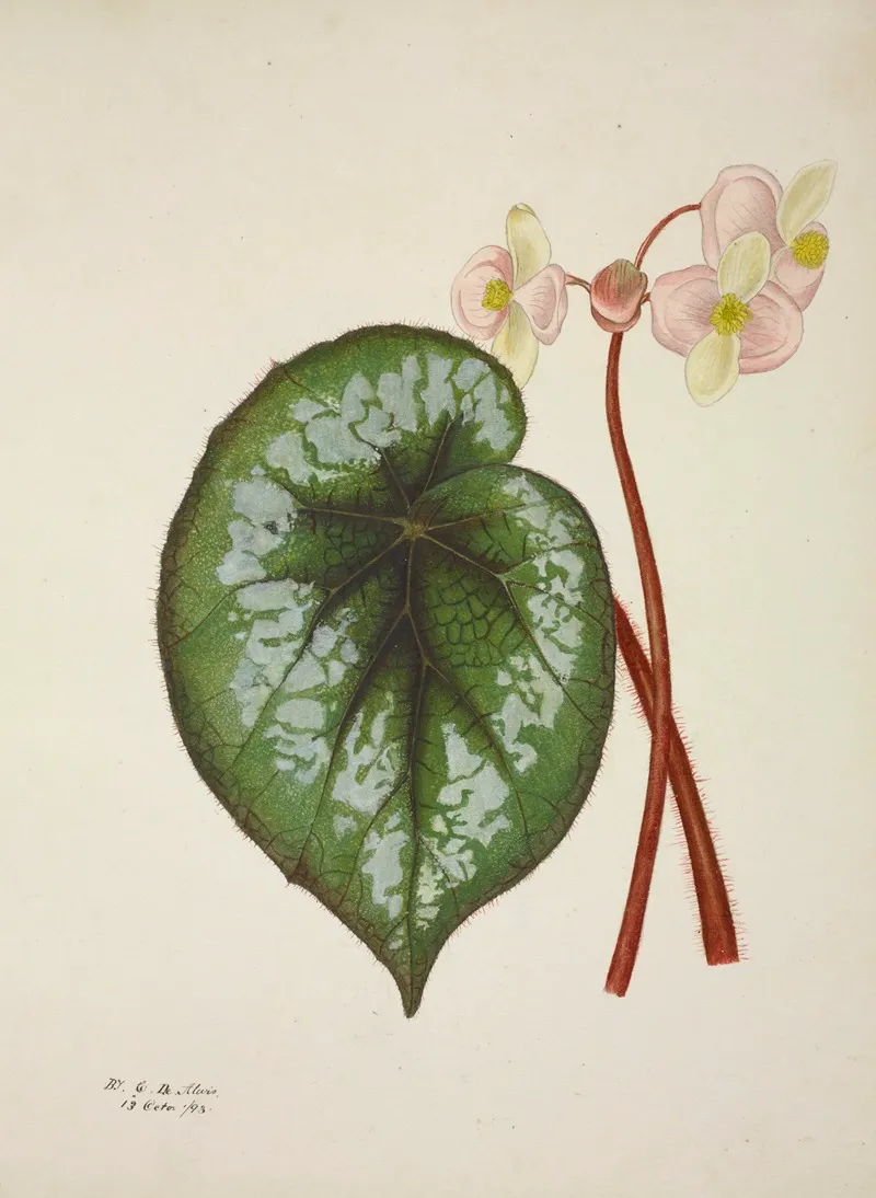 Mon Jardin A Ceylan Pl 225