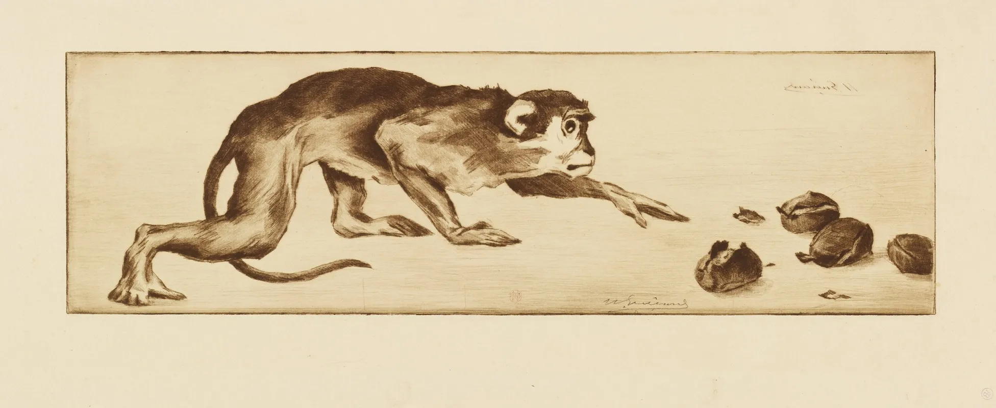 Monkey And Chestnuts