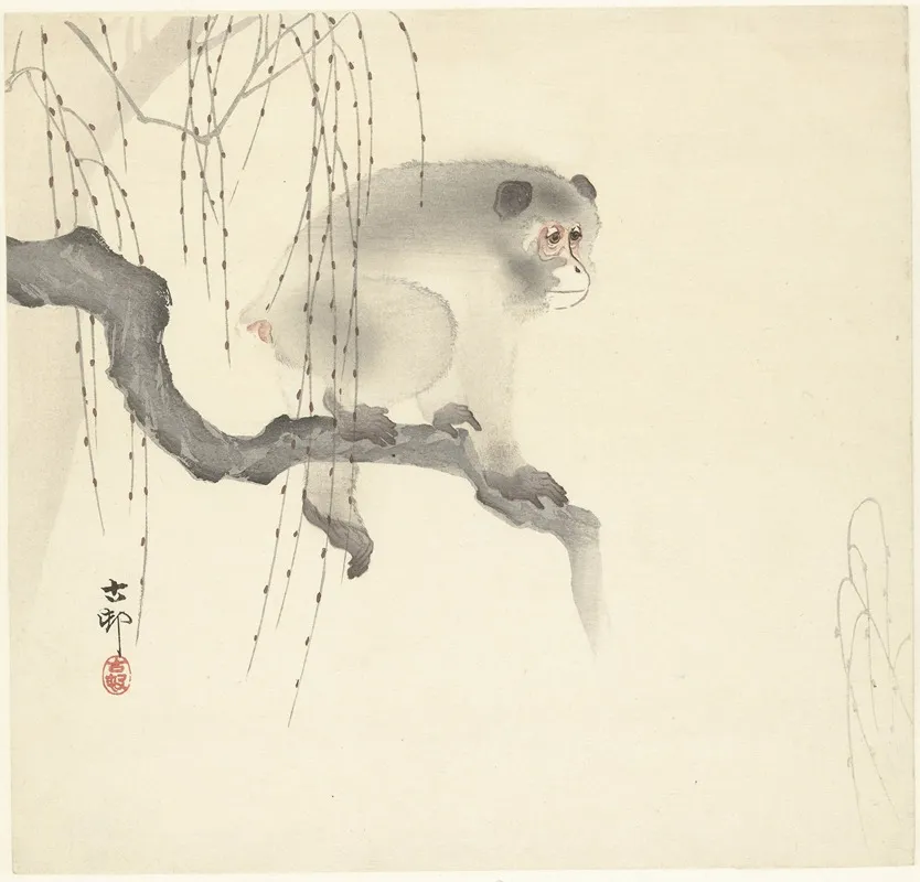 Monkey On Tree Branch by Ohara Koson - Canvas Print