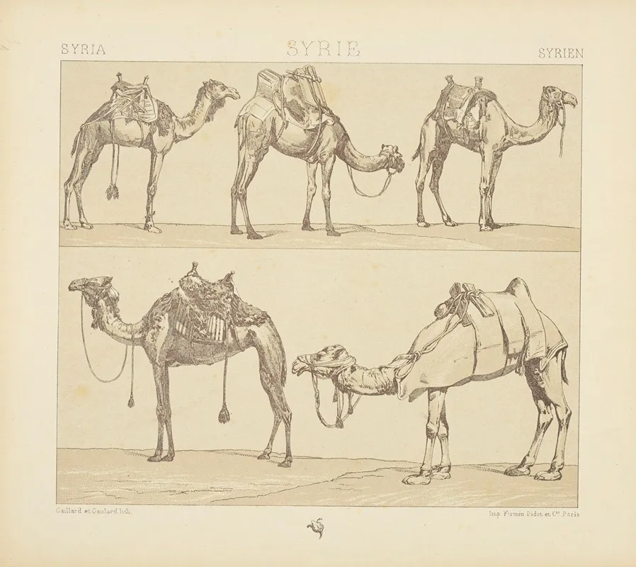 Montures Et Animaux De Transport