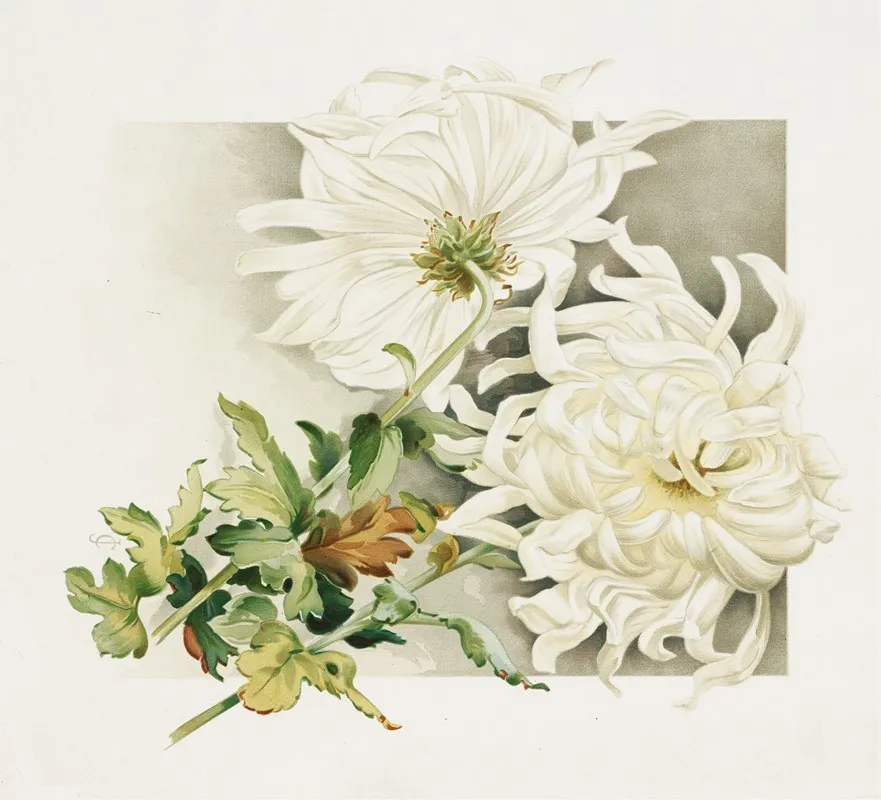 Moonlight 4 by James Callowhill - Canvas Print