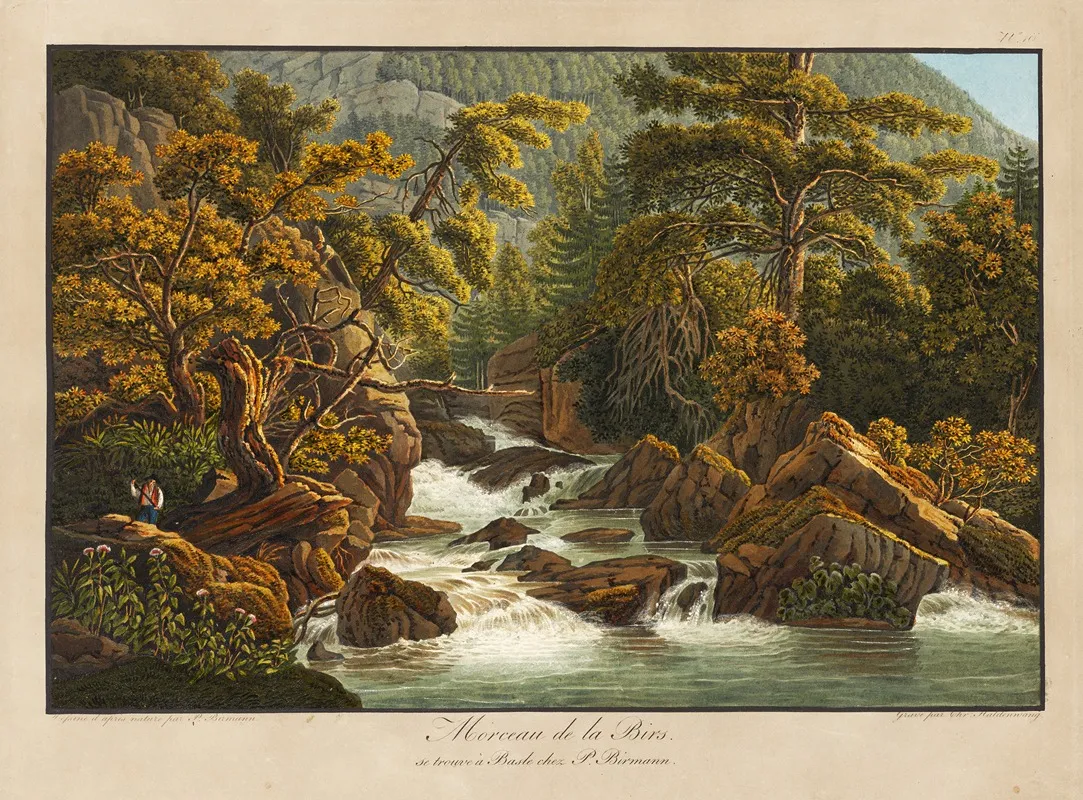 Morceau De La Birs by Peter Birmann - Canvas Print