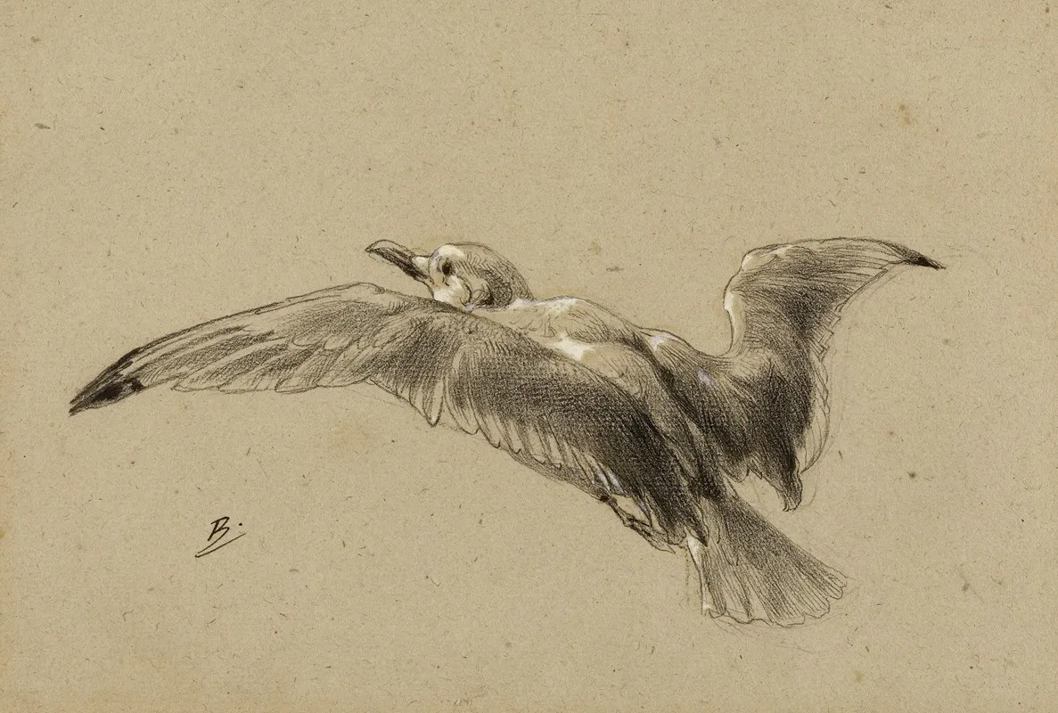 Mouettes 2 by Félix Bracquemond - Canvas Print