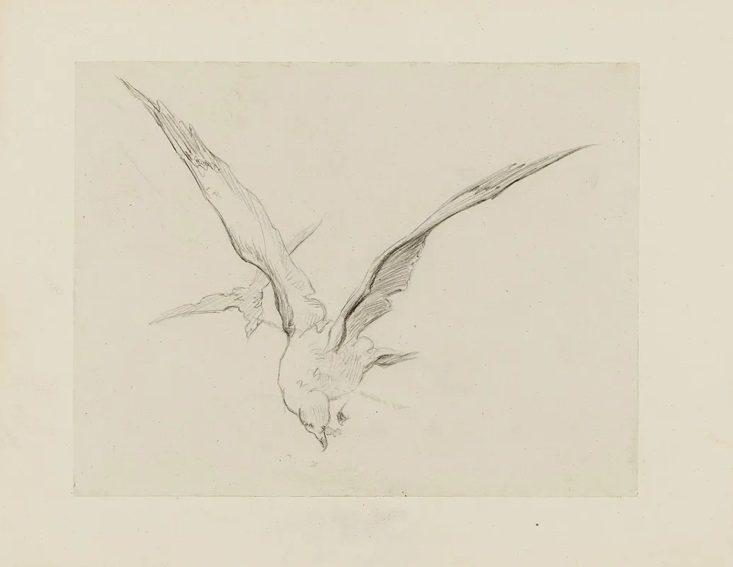 Mouettes Dessin Pour Le Cul De Lampe Du Chapitre 4 Inclination Naissante